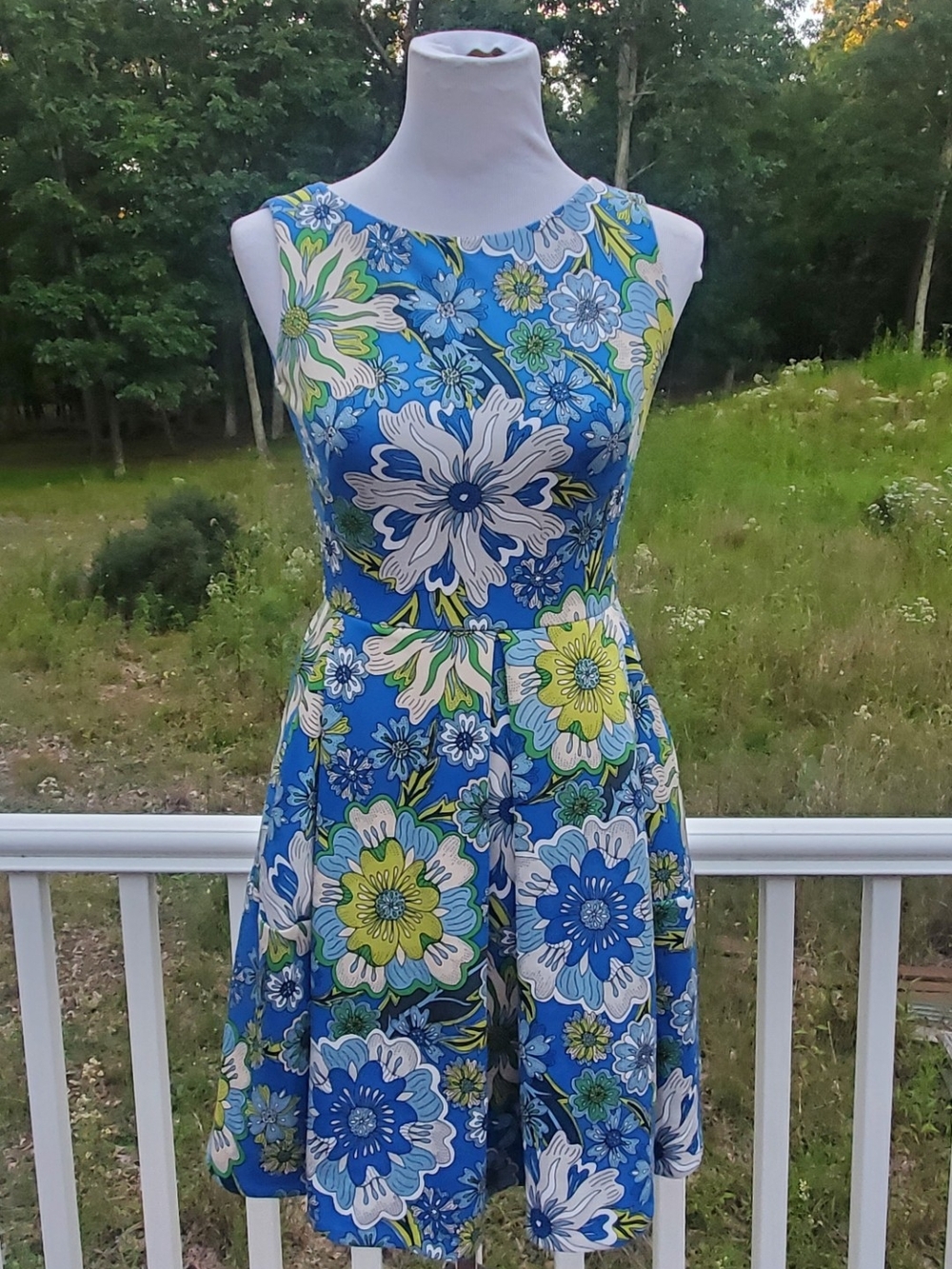 Floral Fit-and-Flare Sleeveless Dress in Blue